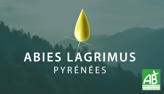 Abies Lagrimus