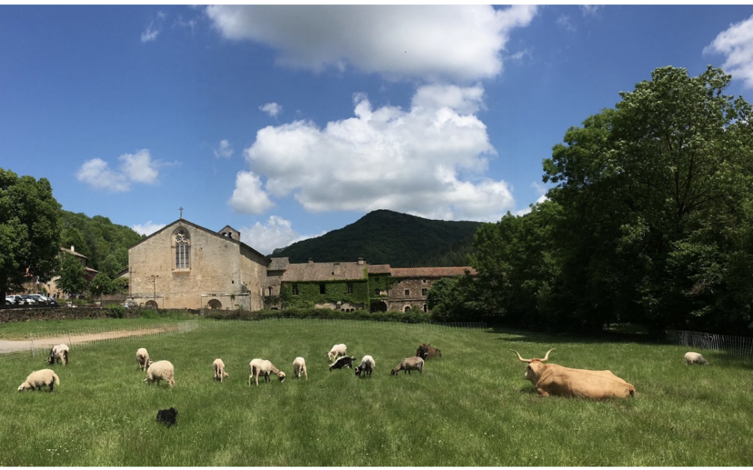 La Banque Transatlantique aux côtés de l’Abbaye de Sylvanès (Aveyron) depuis cinquante ans