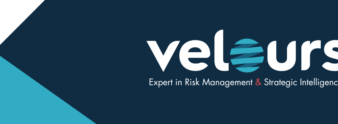 VELOURS INTERNATIONAL : EXPERTS EN GESTION DES RISQUES ET VEILLE STRATEGIQUE